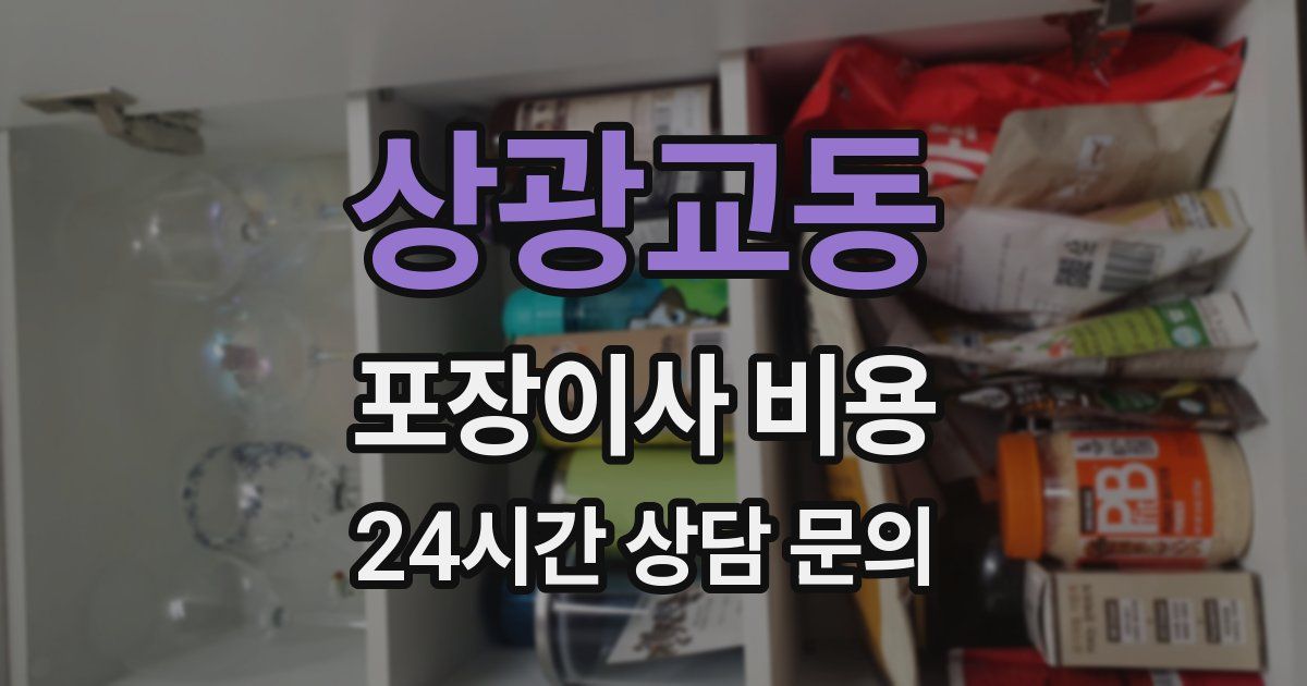 상광교동 포장이사 비용