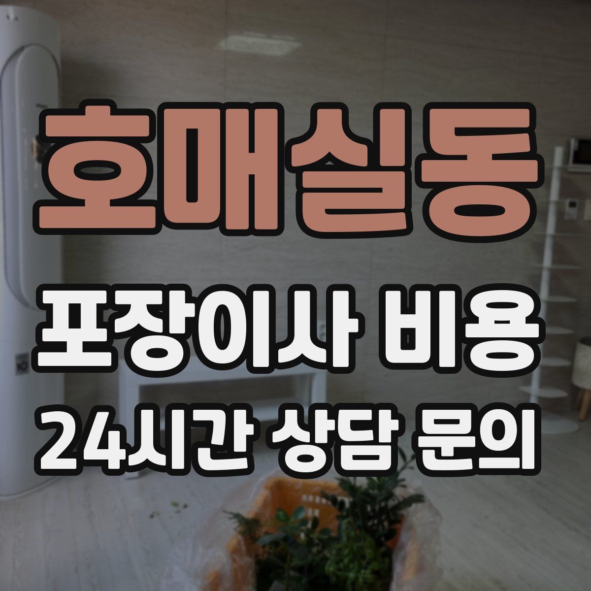 호매실동 포장이사 비용