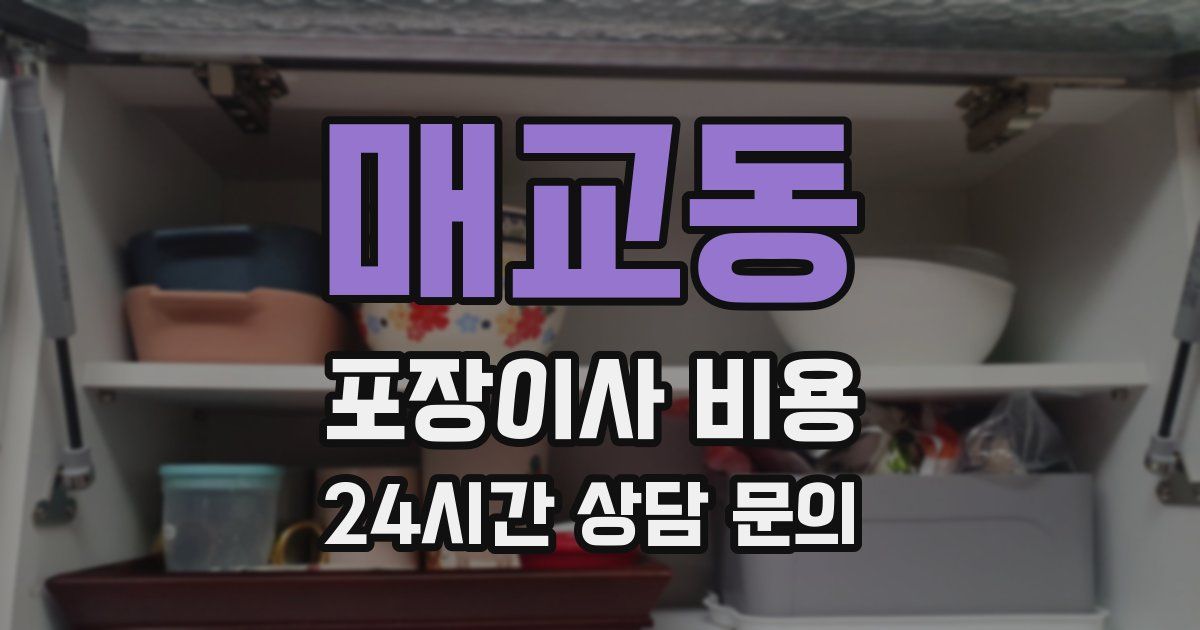 매교동 포장이사 비용