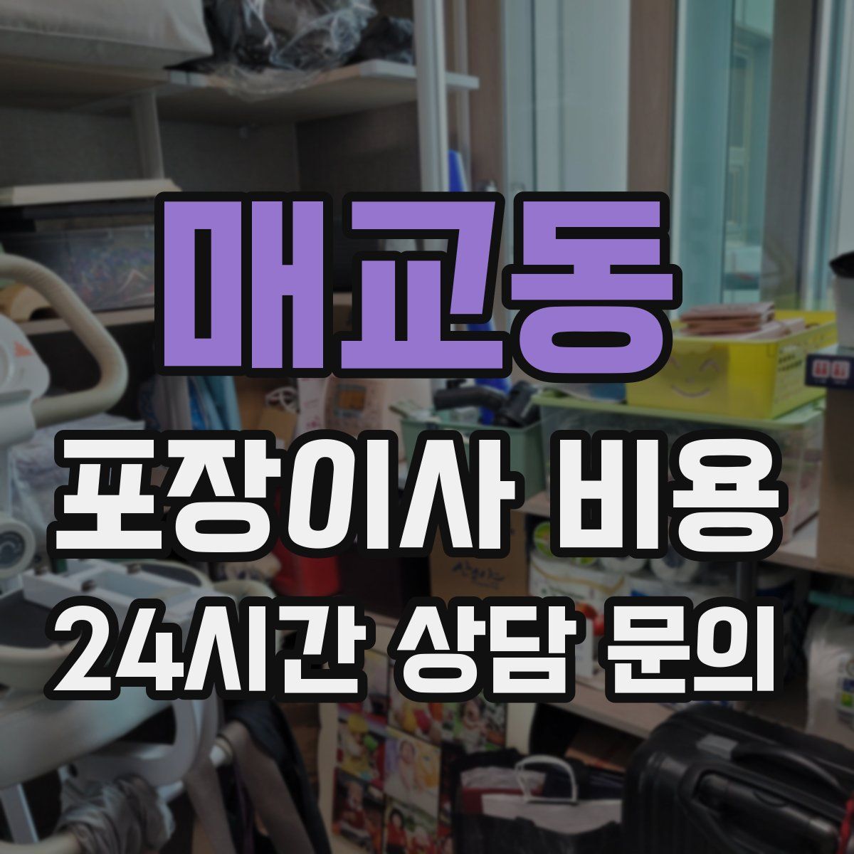 매교동 포장이사 비용