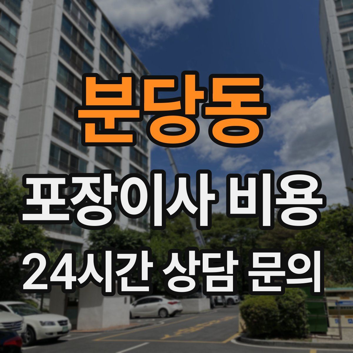 분당동 포장이사 비용