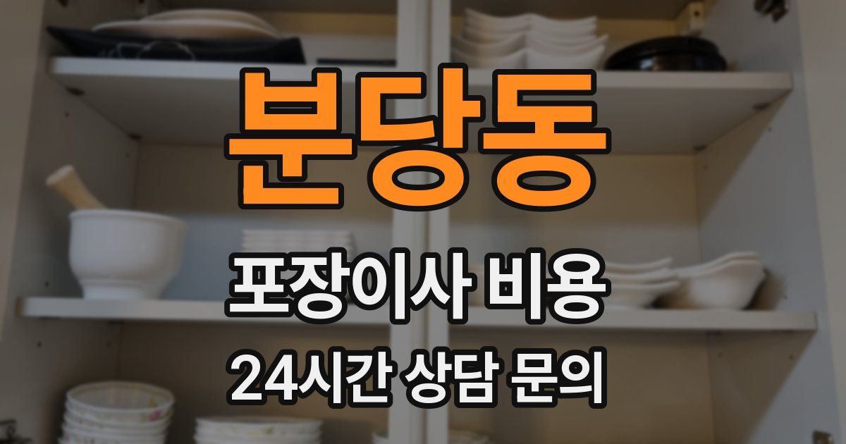 분당동 포장이사 비용