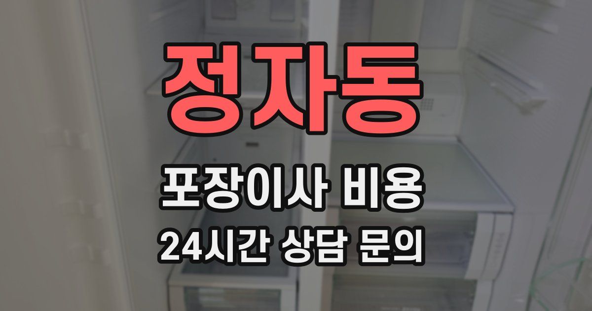 정자동 포장이사 비용
