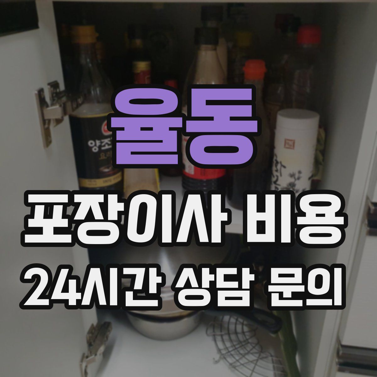 율동 포장이사 비용