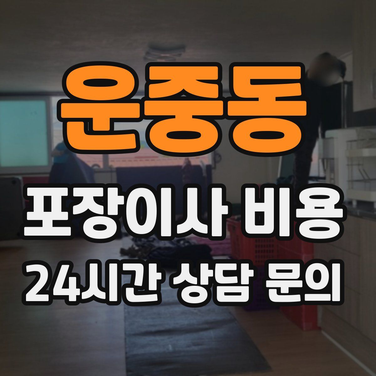 운중동 포장이사 비용
