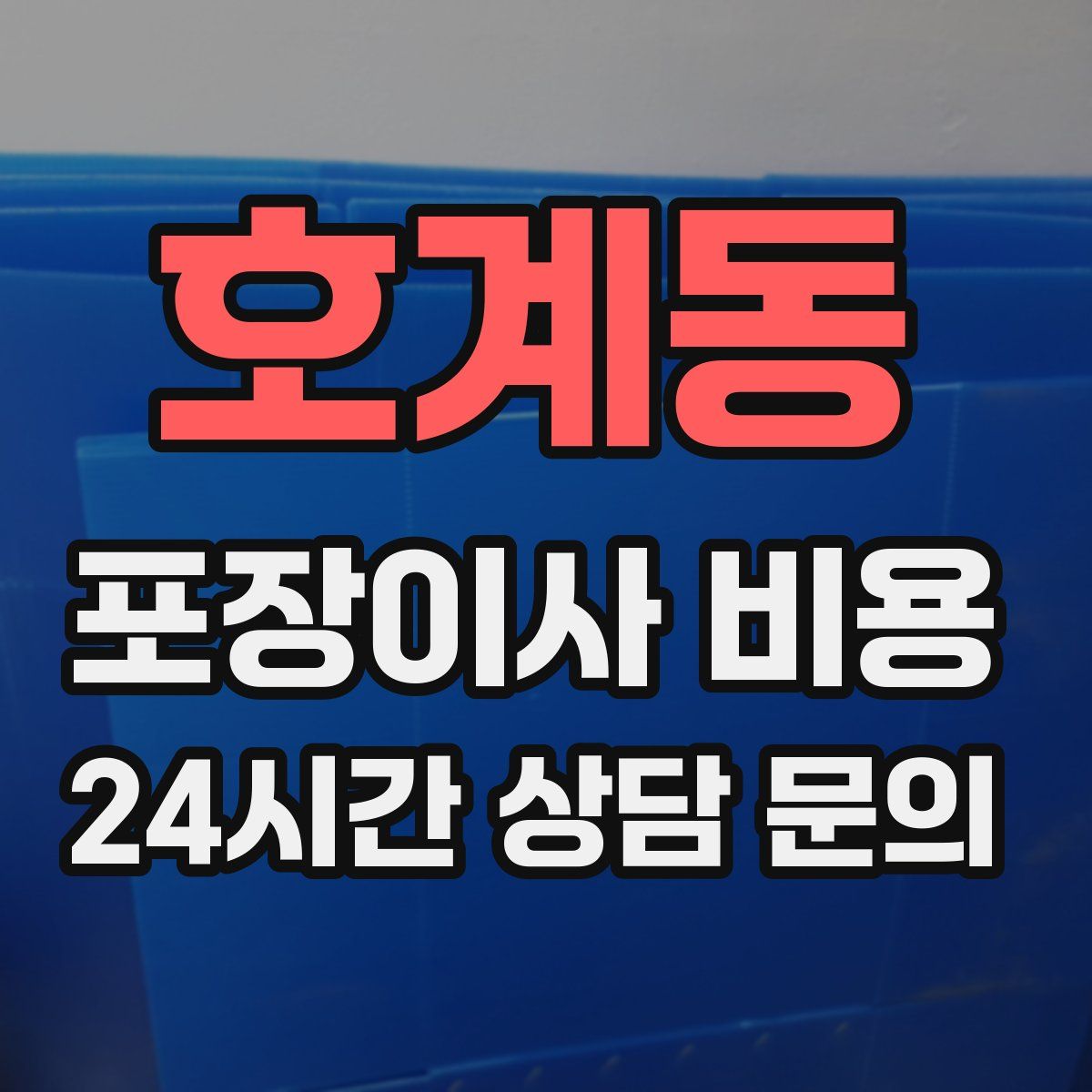 호계동 포장이사 비용