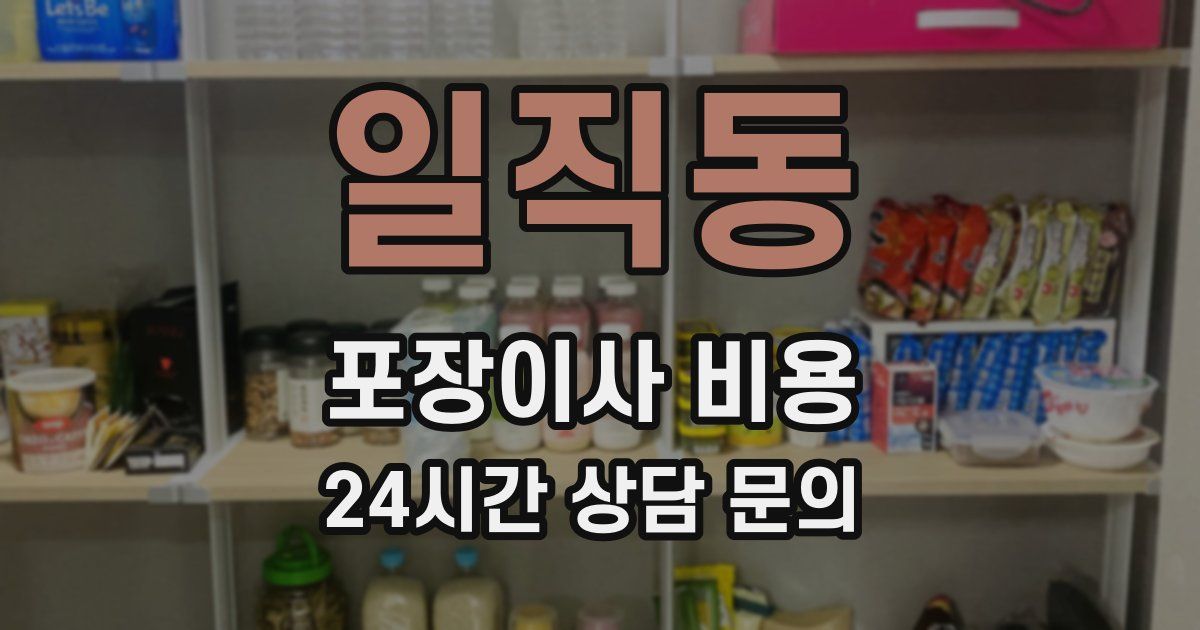 일직동 포장이사 비용