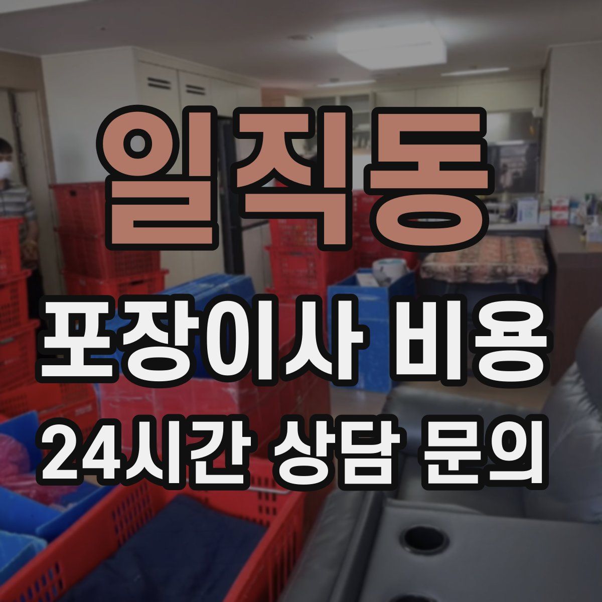 일직동 포장이사 비용