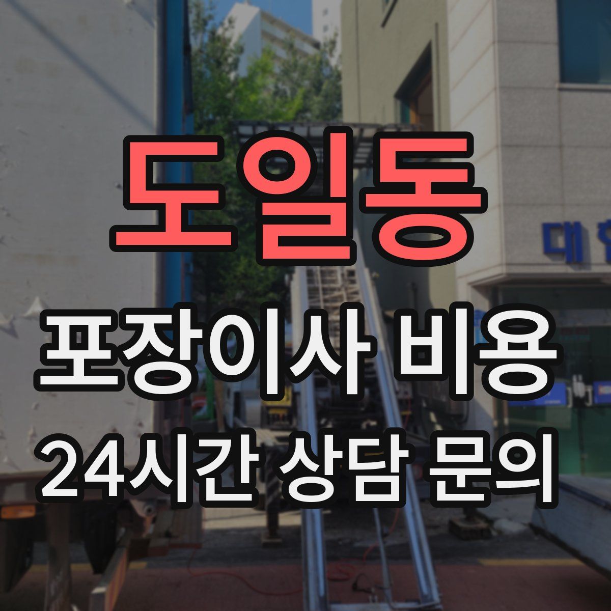 도일동 포장이사 비용