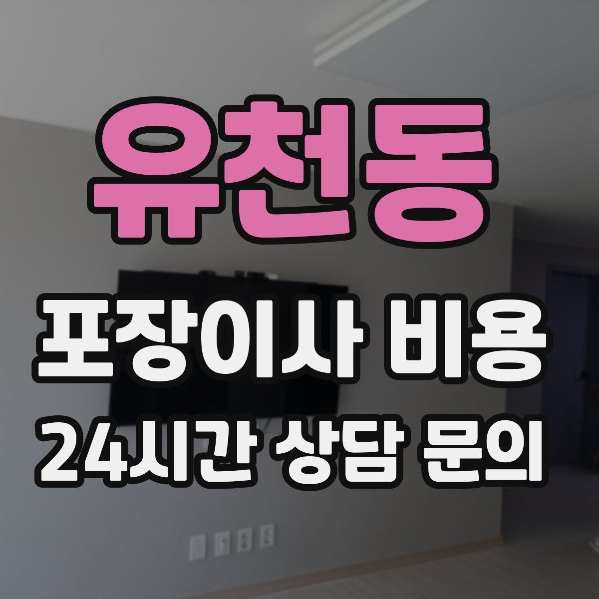 유천동 포장이사 비용