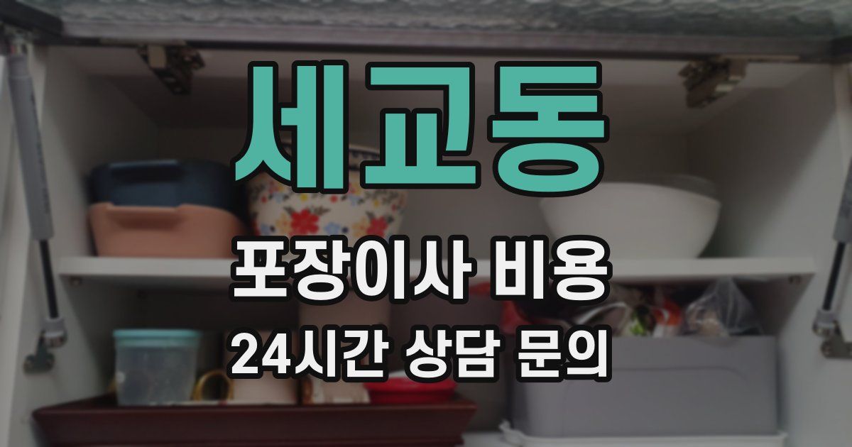 세교동 포장이사 비용