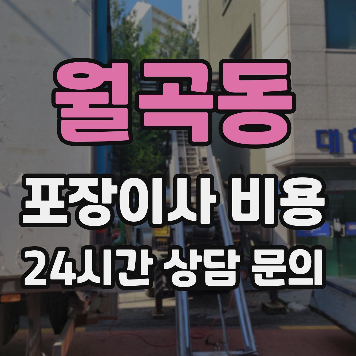 월곡동 포장이사 비용