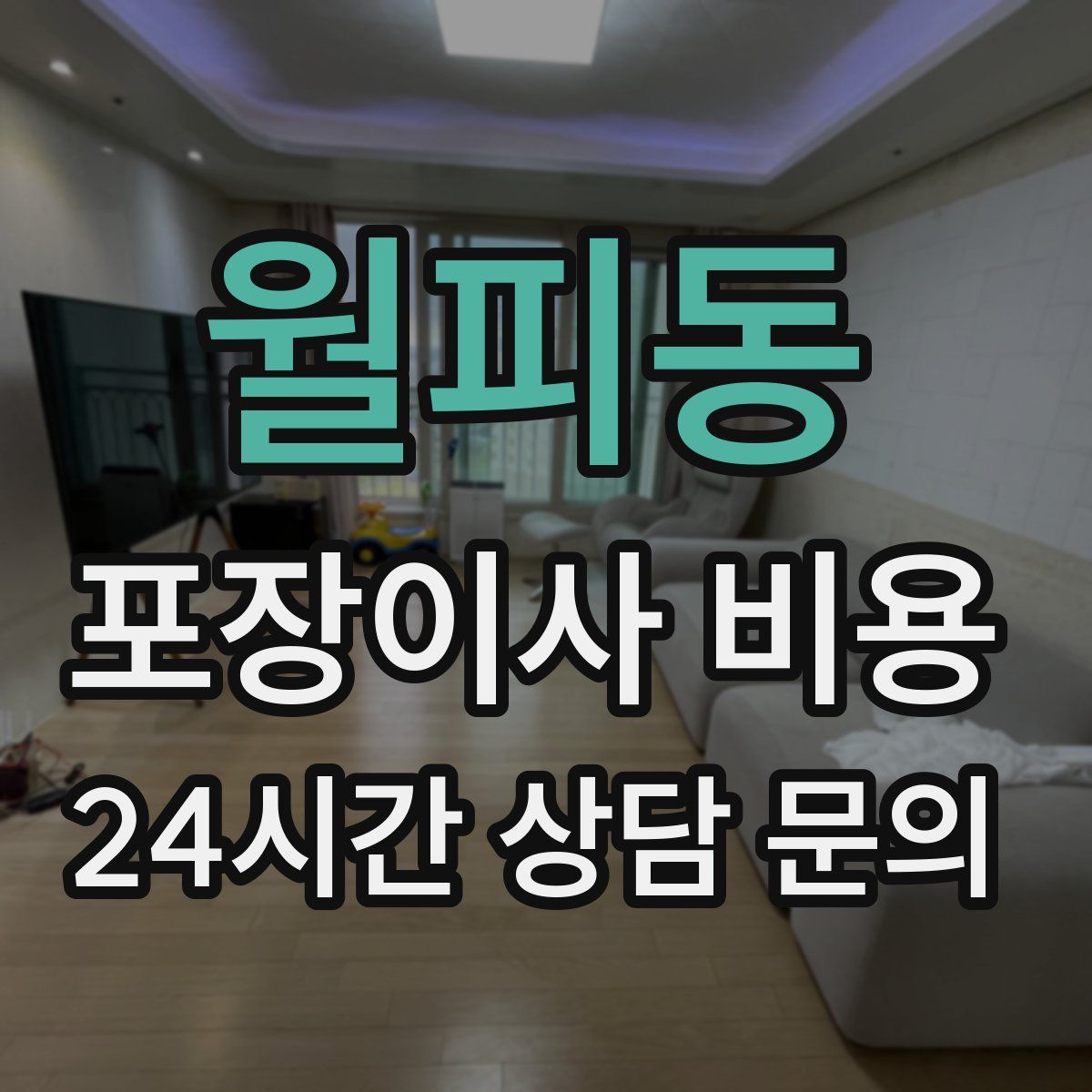 월피동 포장이사 비용