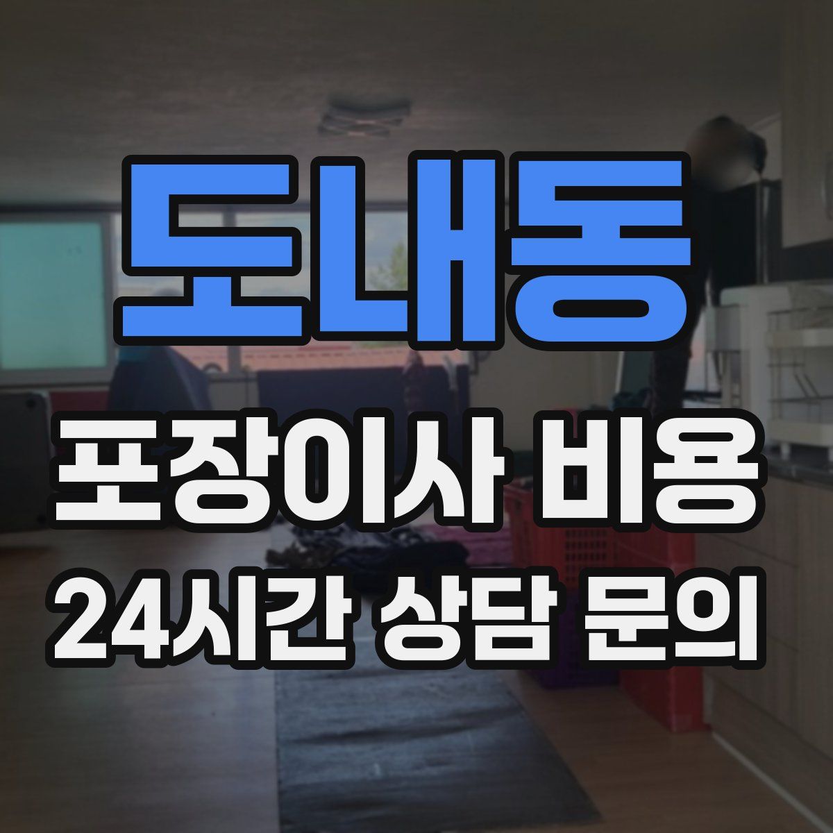 도내동 포장이사 비용