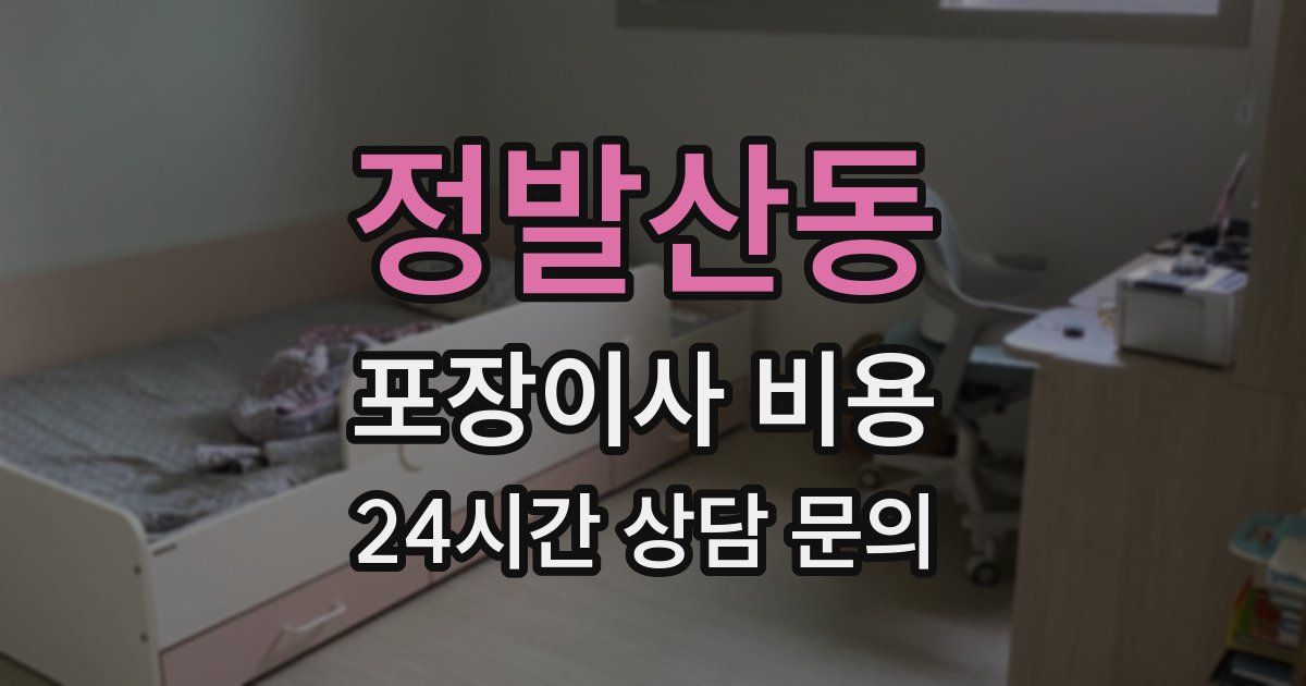 정발산동 포장이사 비용