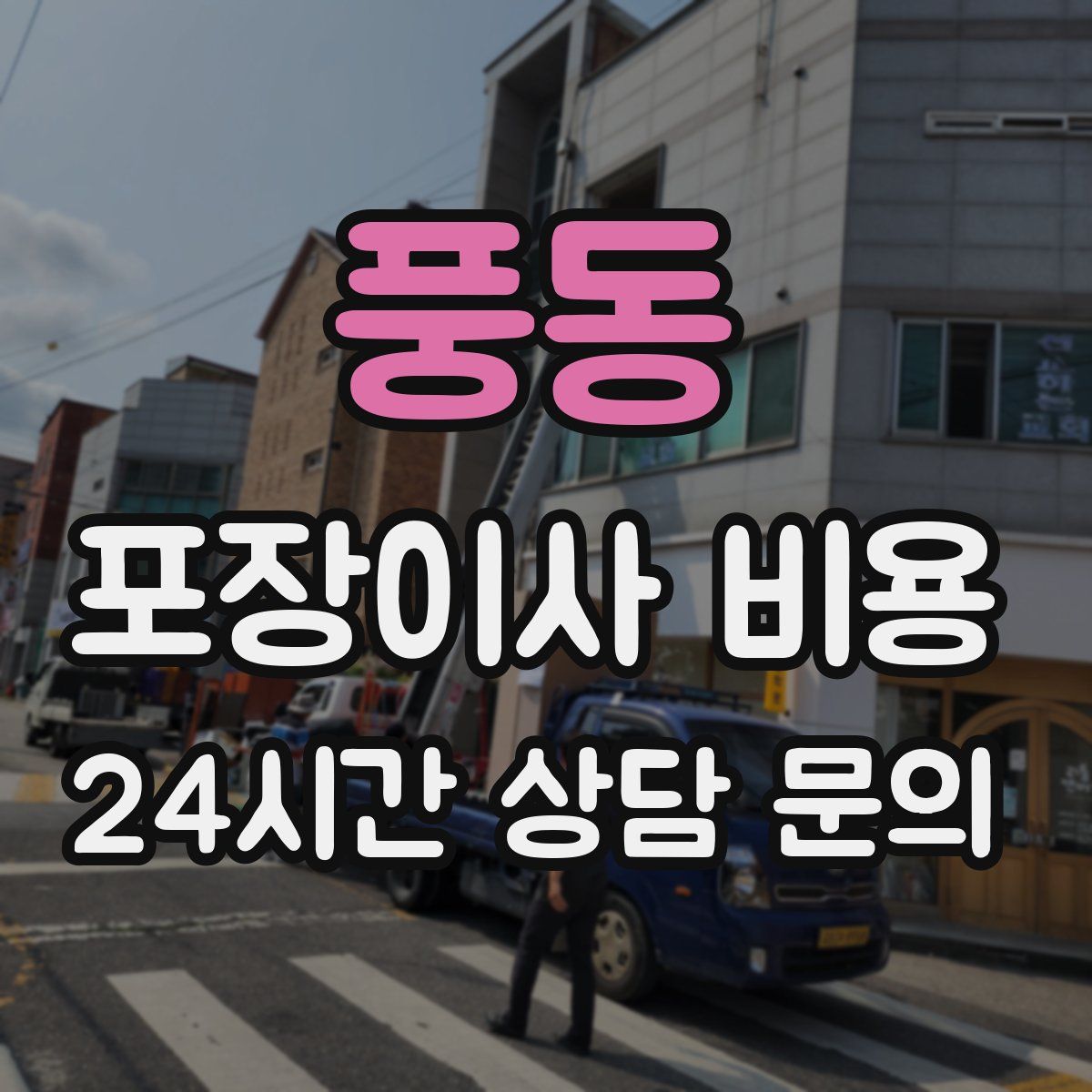 풍동 포장이사 비용