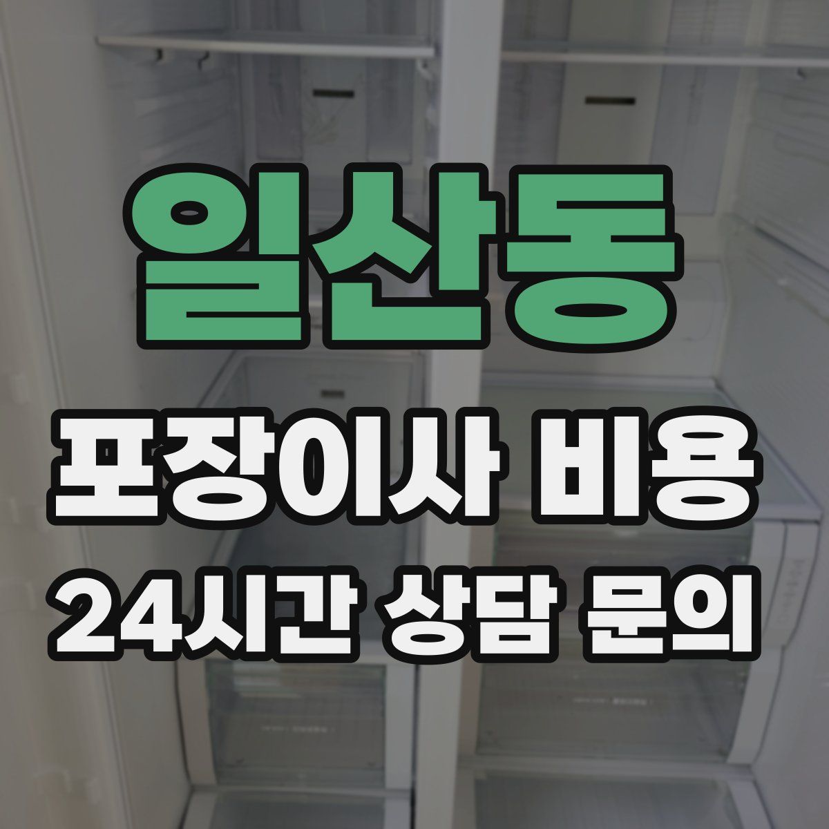 일산동 포장이사 비용