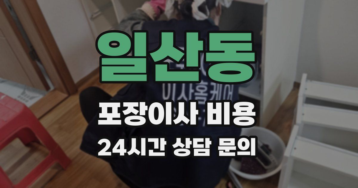 일산동 포장이사 비용