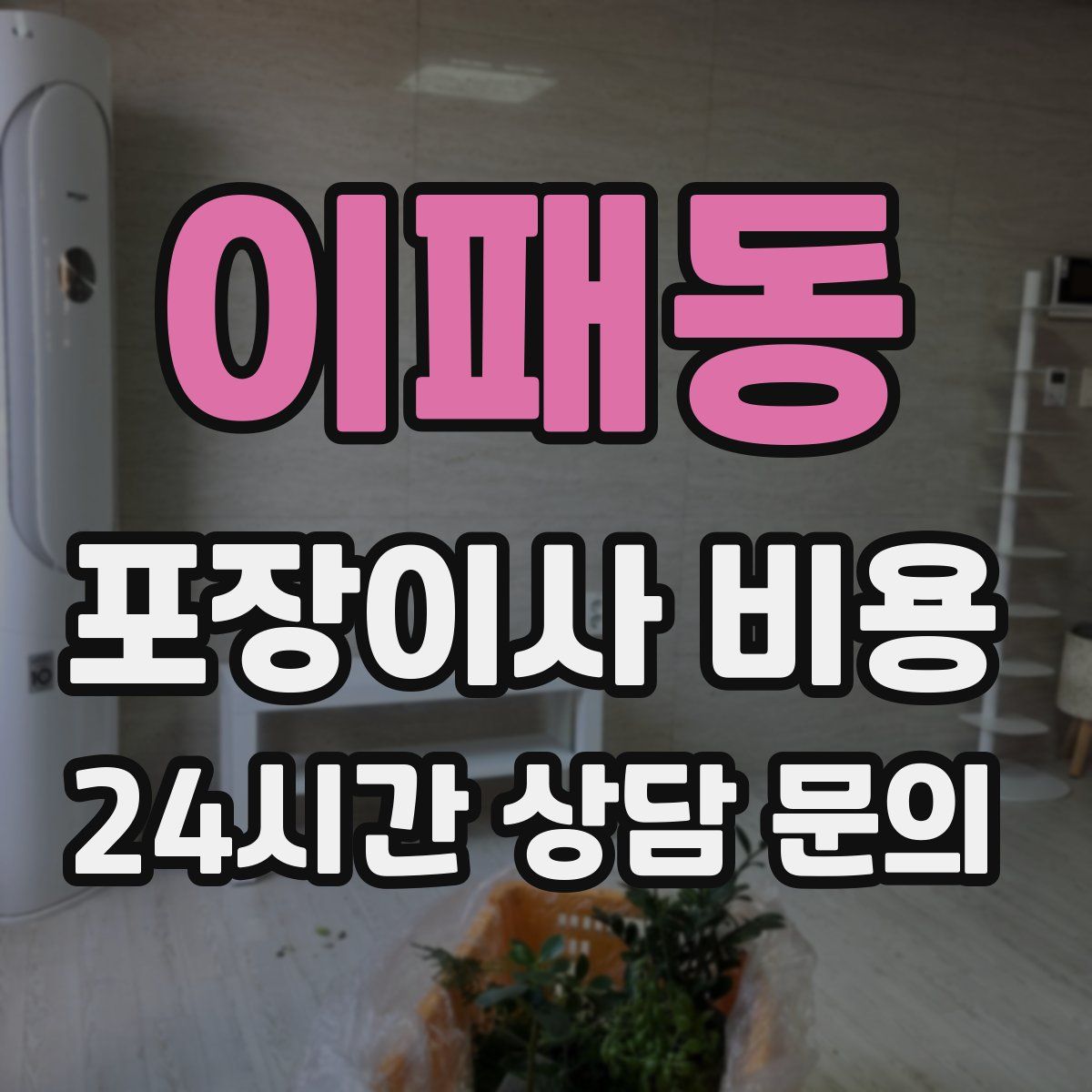 이패동 포장이사 비용