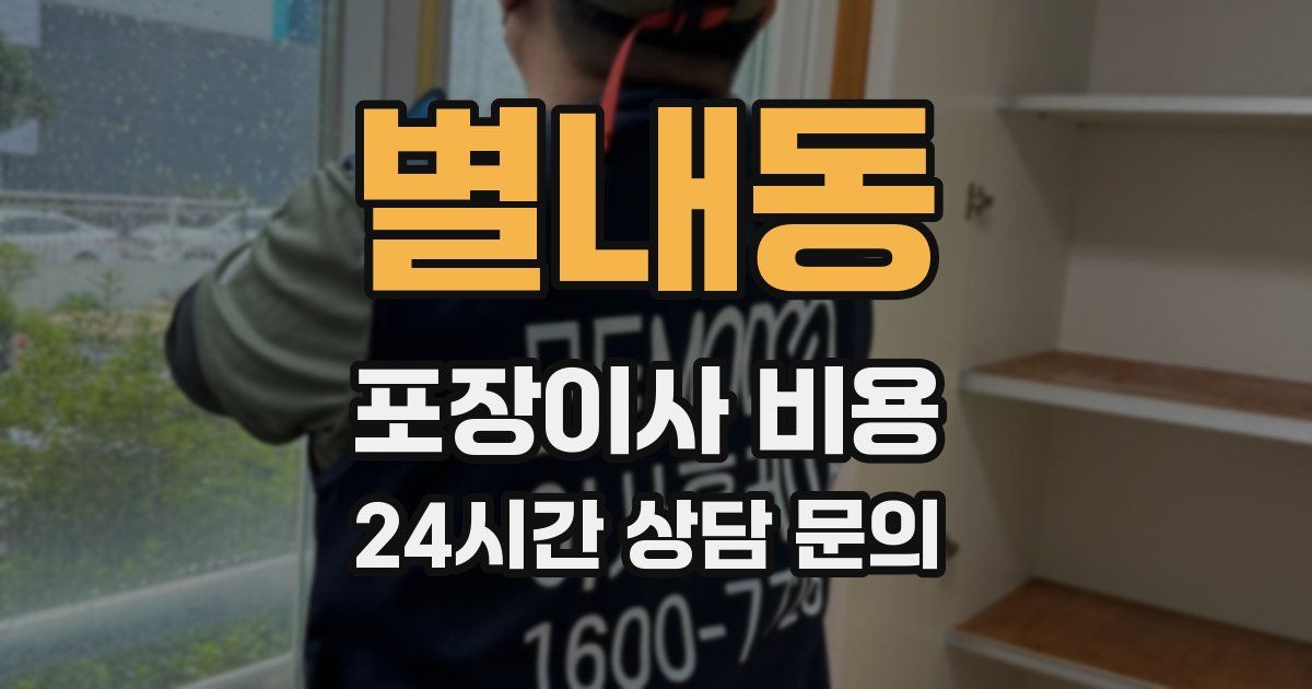 별내동 포장이사 비용