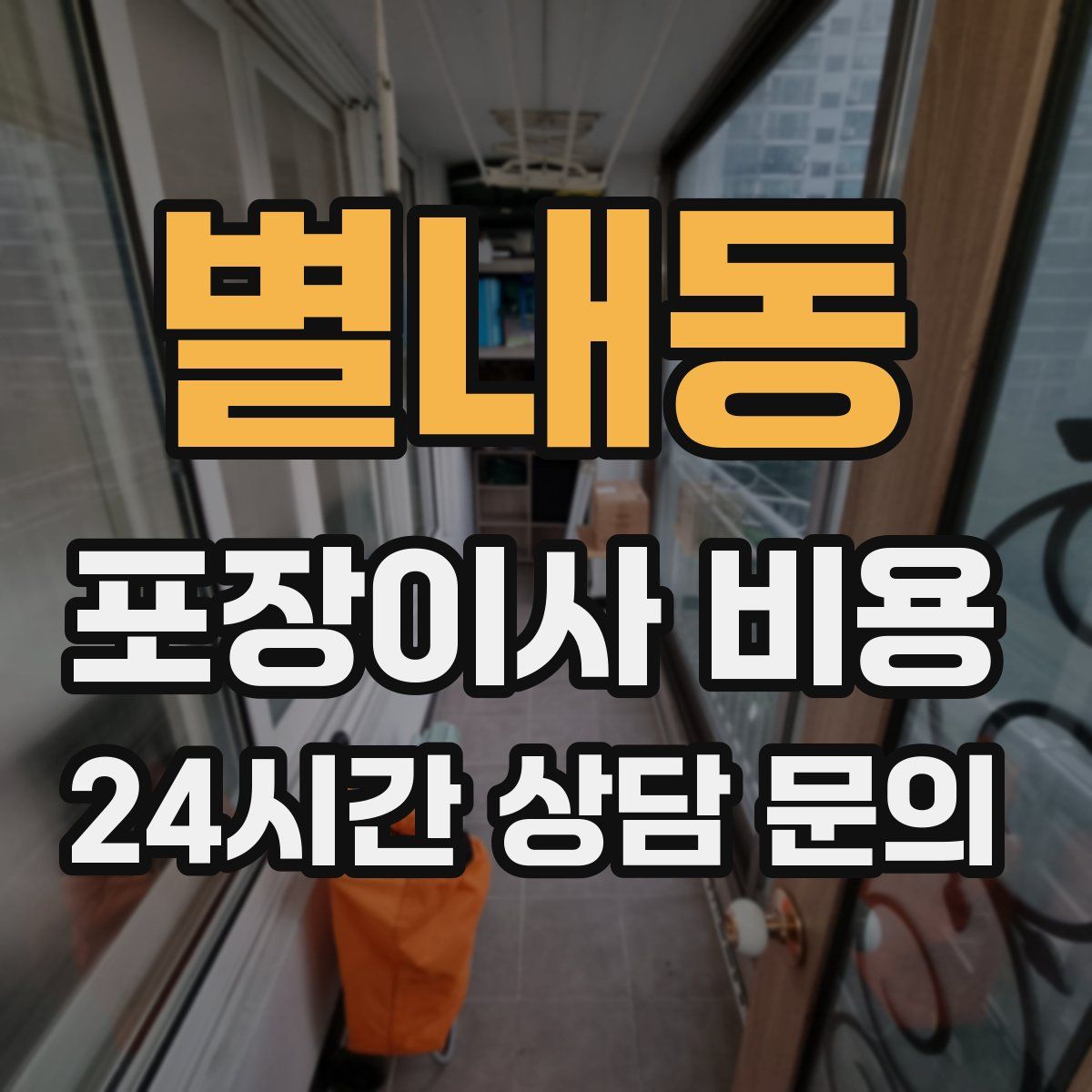 별내동 포장이사 비용
