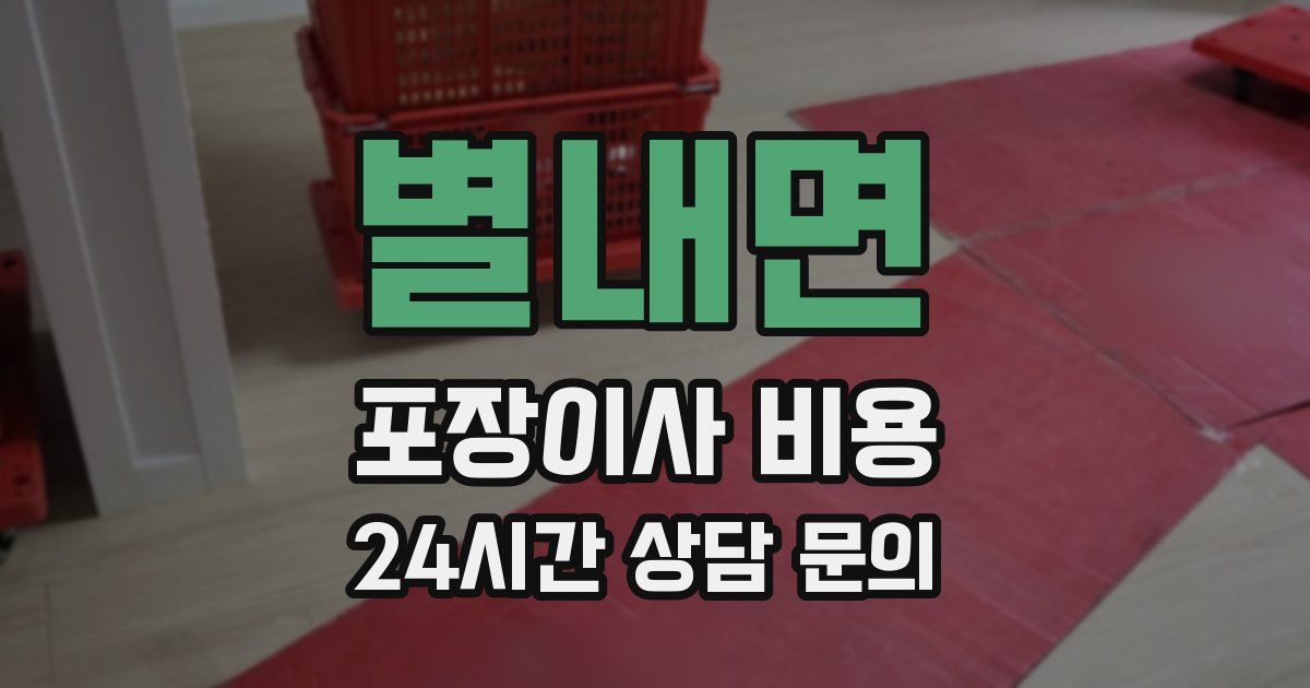 별내면 포장이사 비용