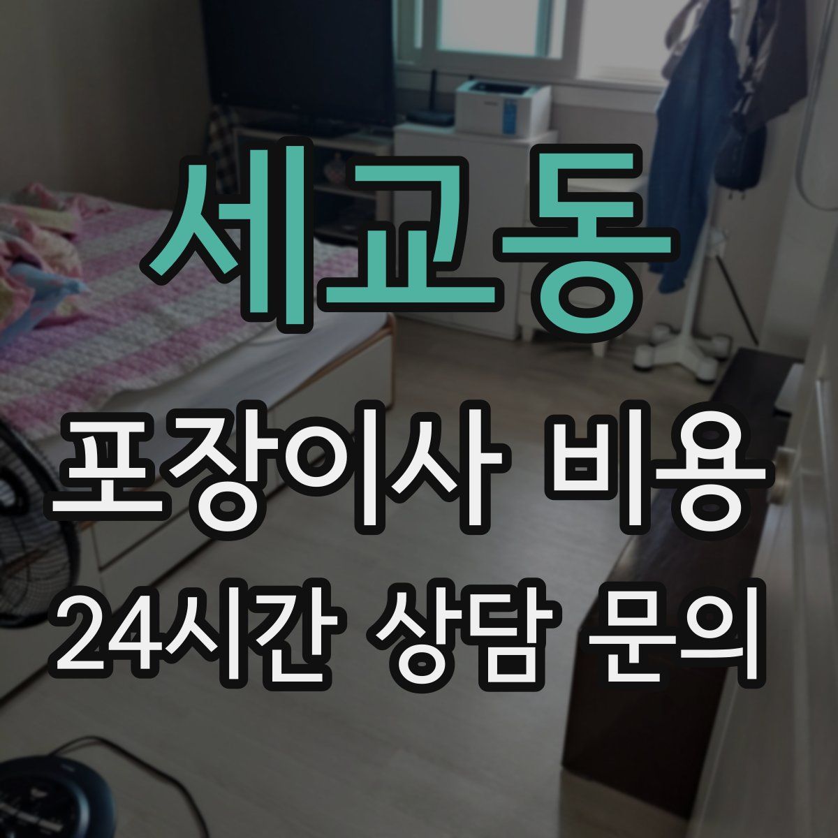 세교동 포장이사 비용