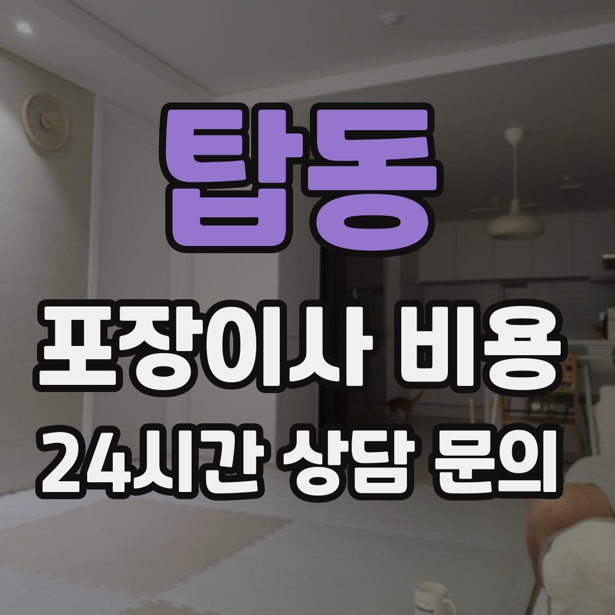 탑동 포장이사 비용