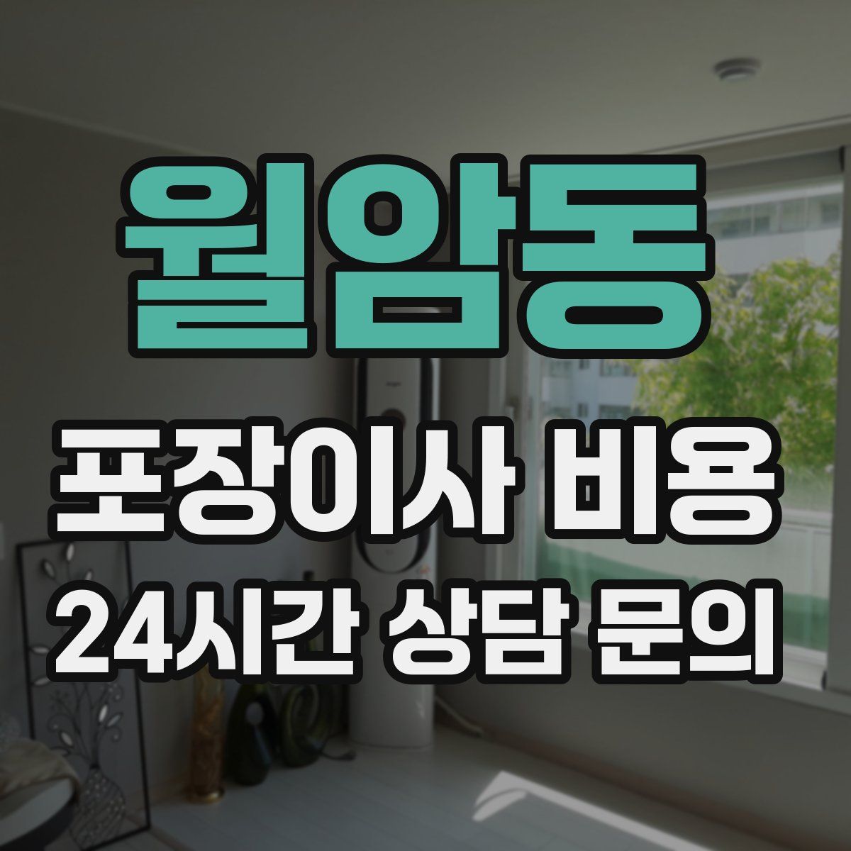 월암동 포장이사 비용