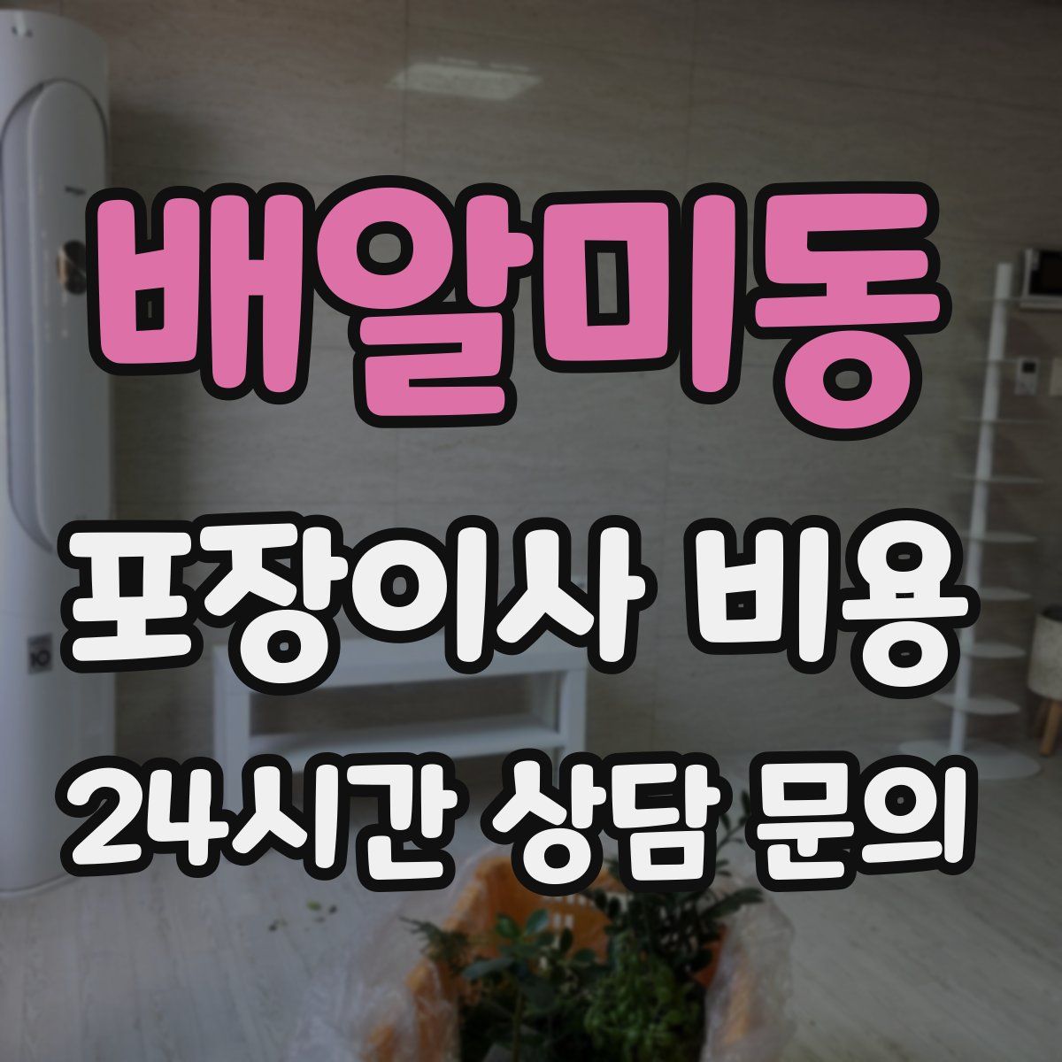 배알미동 포장이사 비용