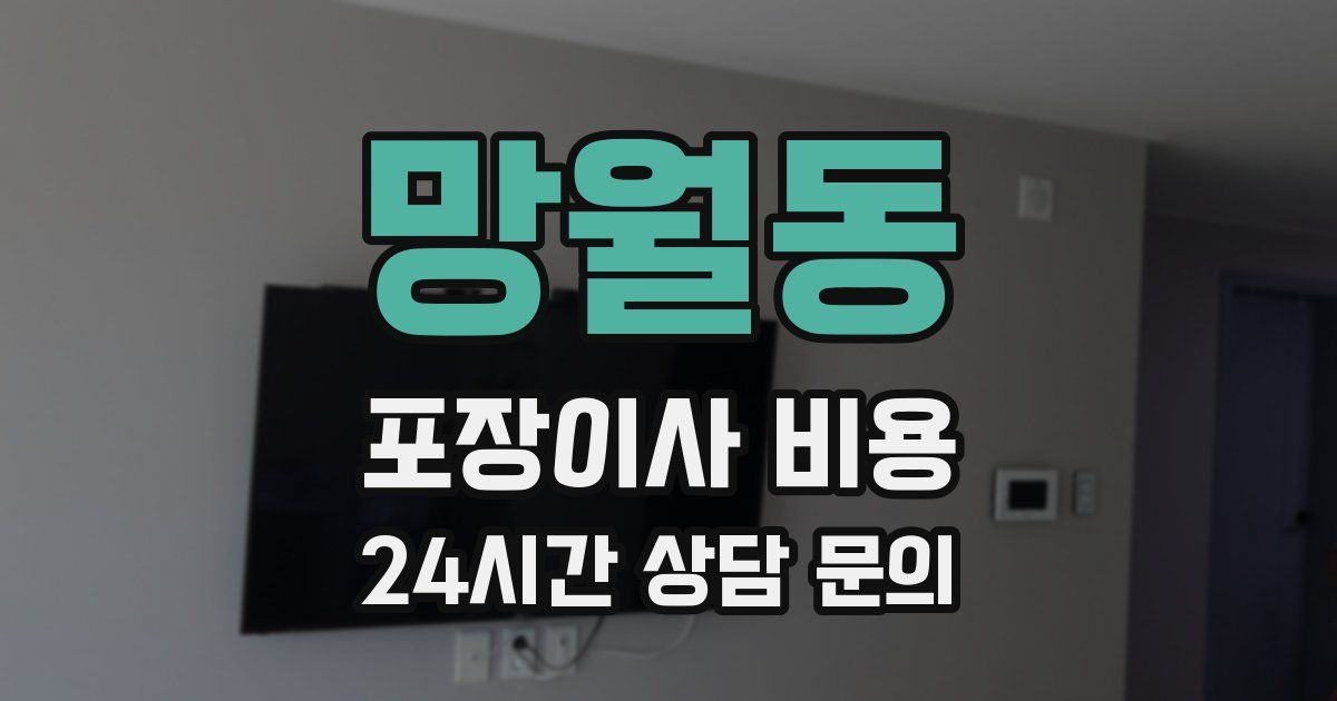 망월동 포장이사 비용