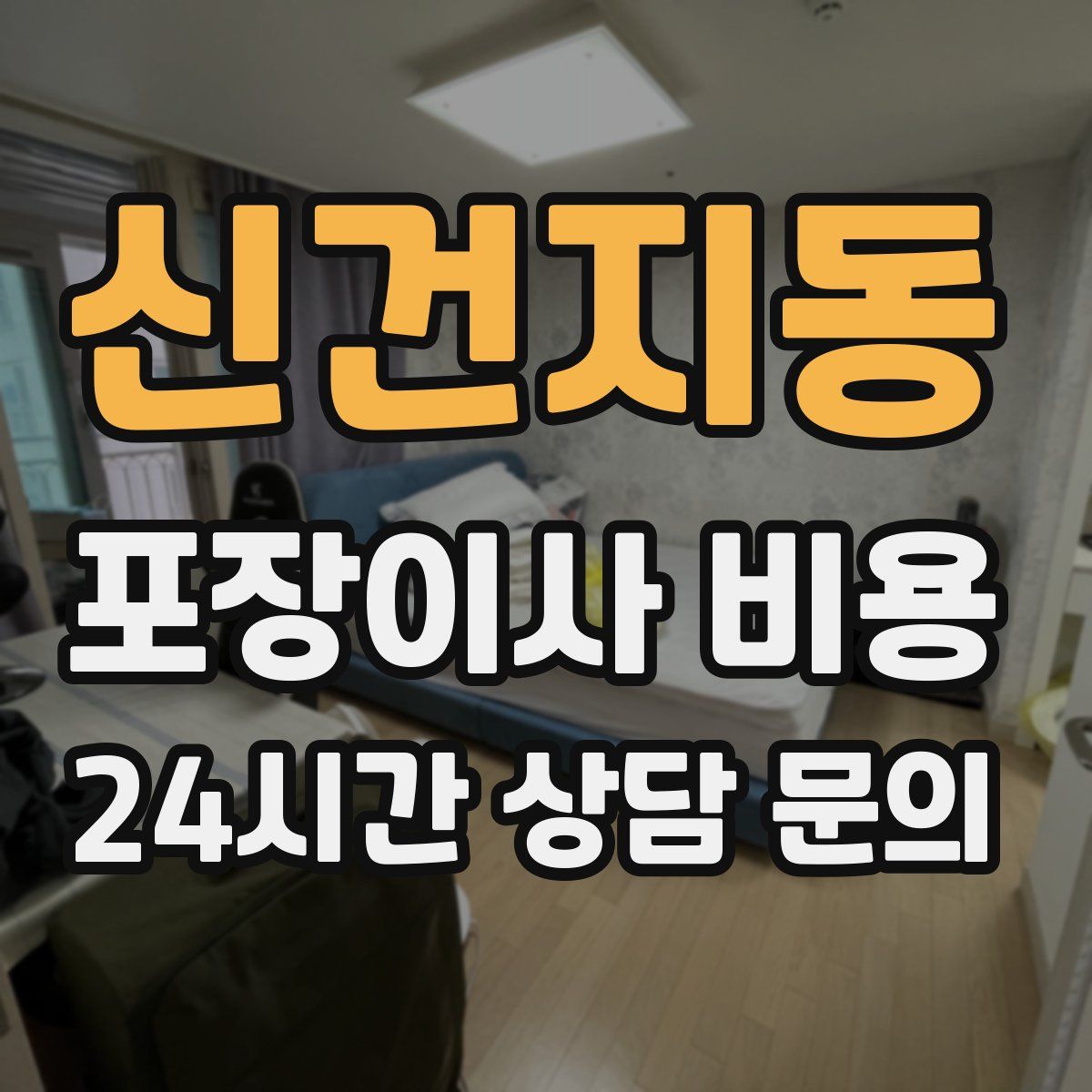 신건지동 포장이사 비용