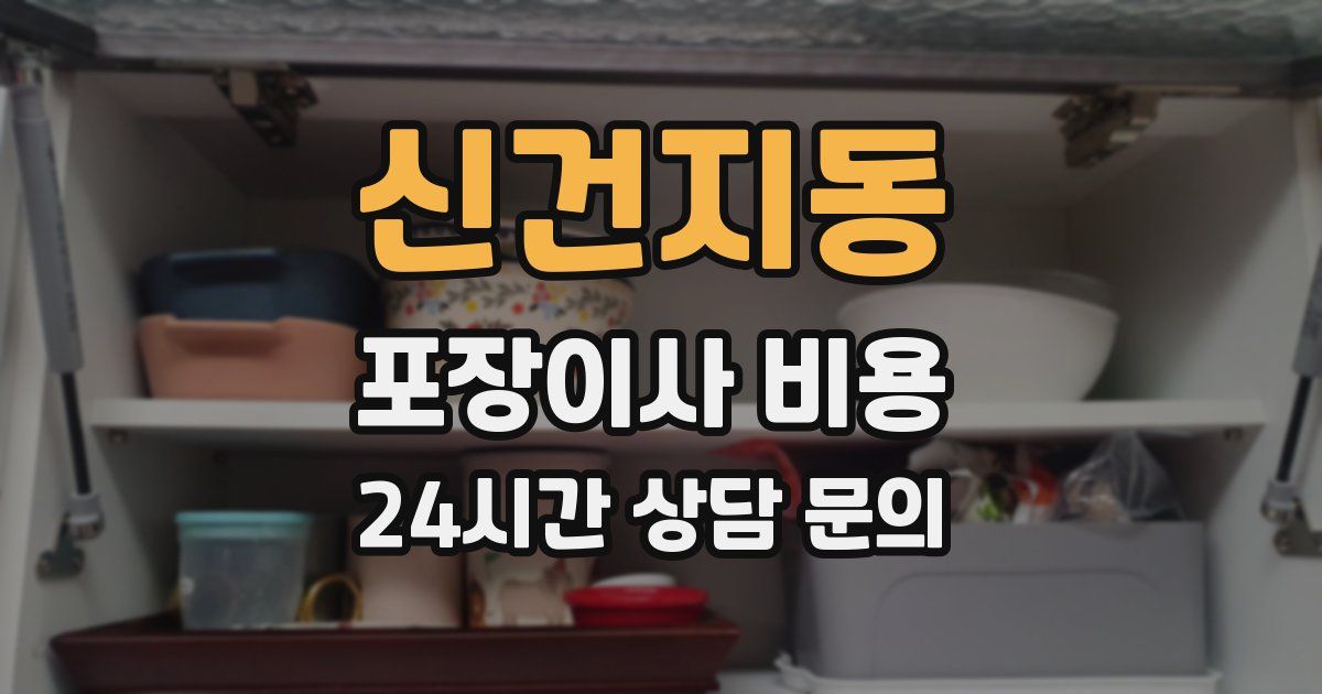 신건지동 포장이사 비용