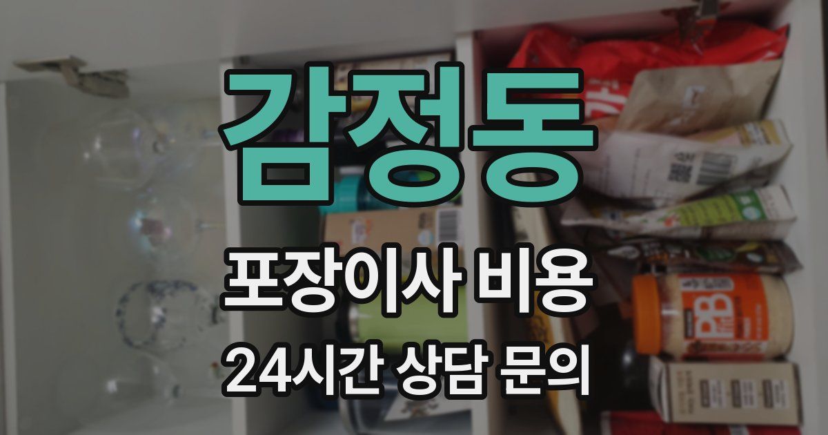 감정동 포장이사 비용