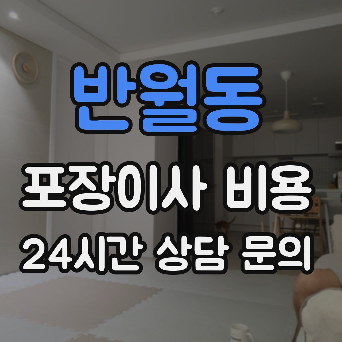 반월동 포장이사 비용