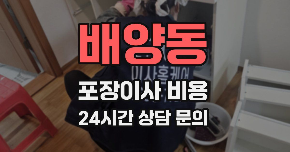 배양동 포장이사 비용