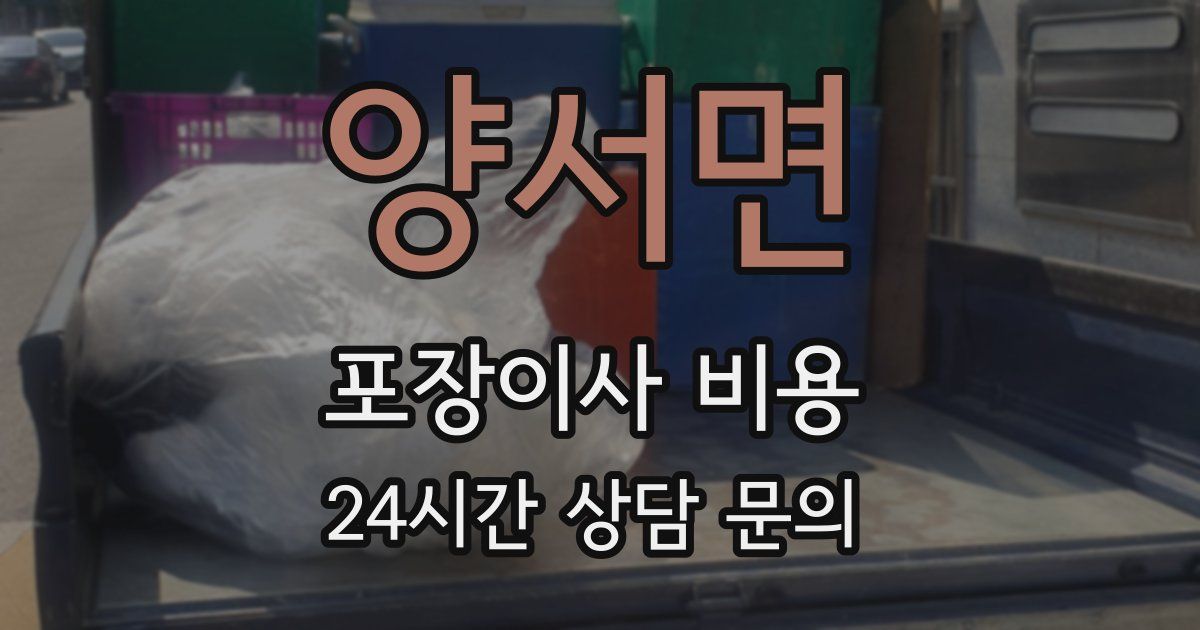 양서면 포장이사 비용