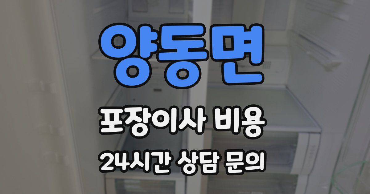 양동면 포장이사 비용