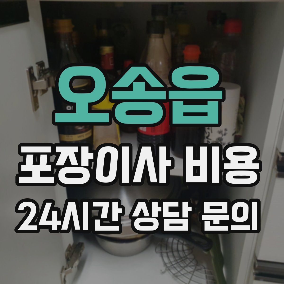 오송읍 포장이사 비용