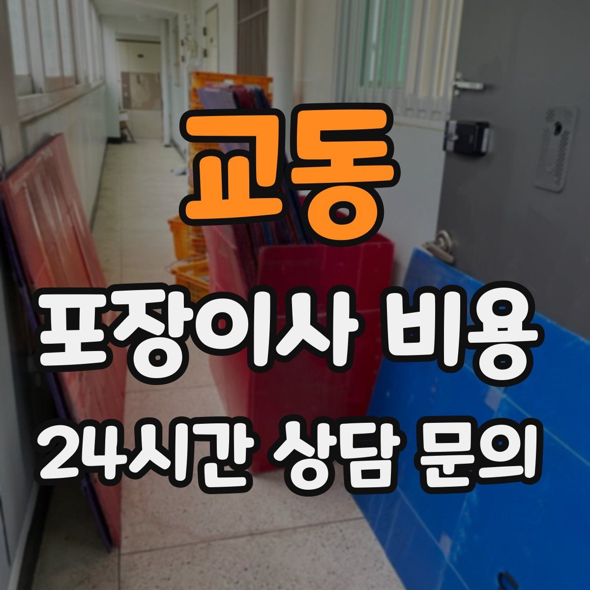 교동 포장이사 비용