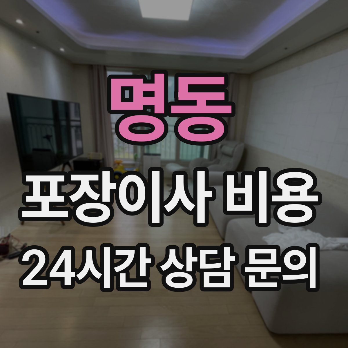 명동 포장이사 비용