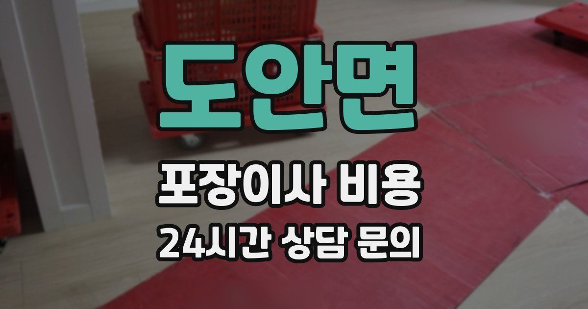도안면 포장이사 비용
