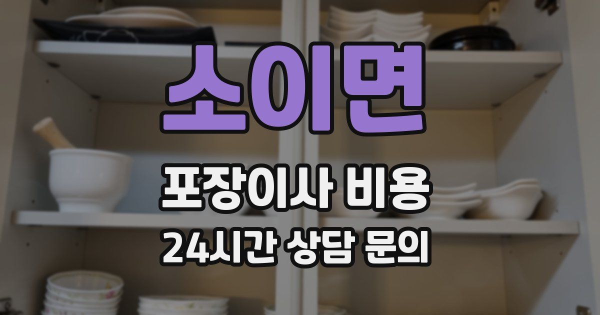 소이면 포장이사 비용