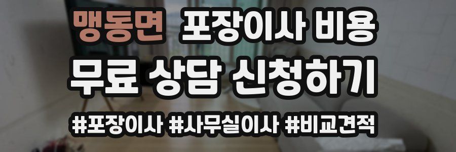 맹동면 포장이사 비용