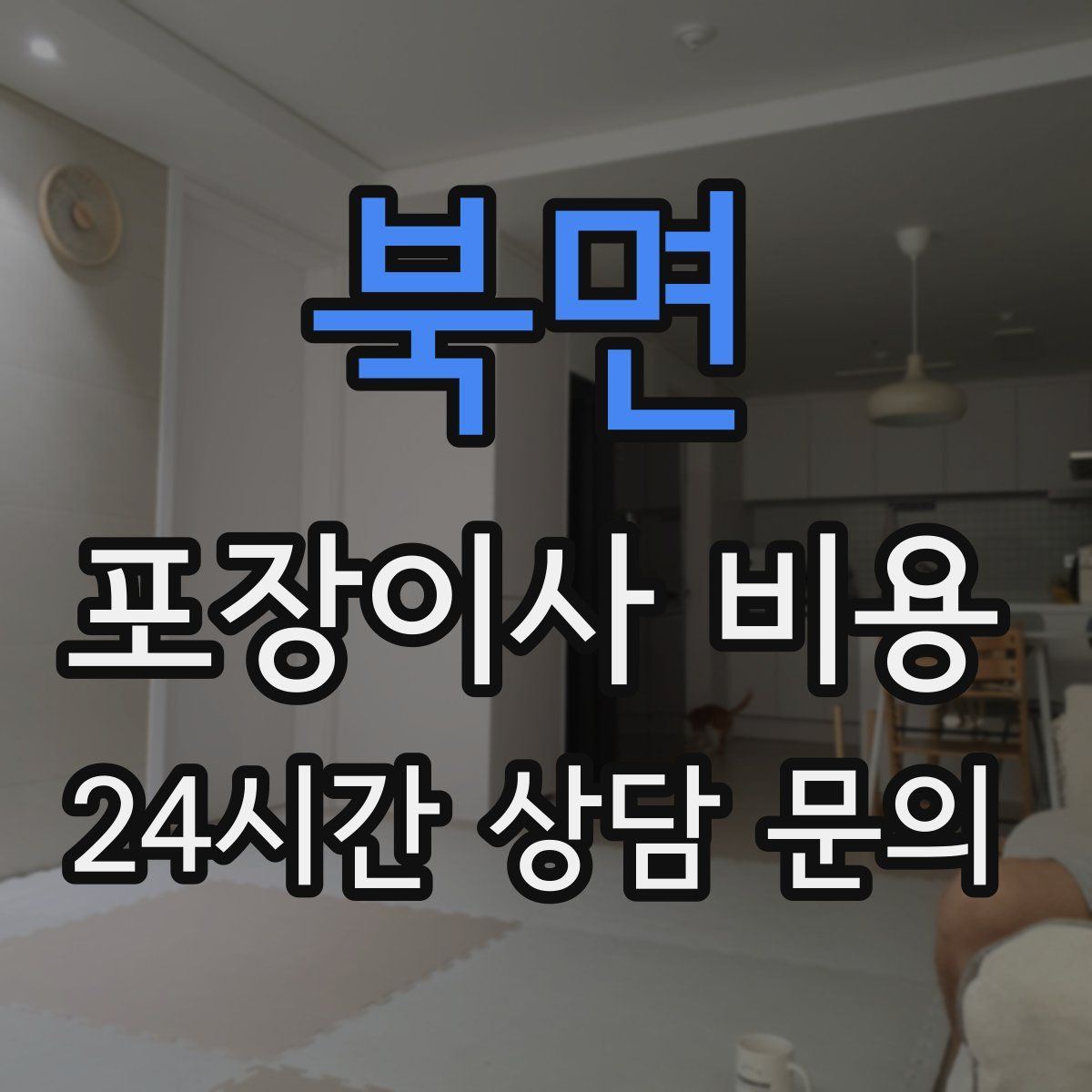 북면 포장이사 비용