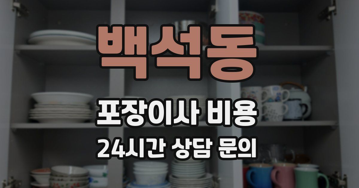 백석동 포장이사 비용