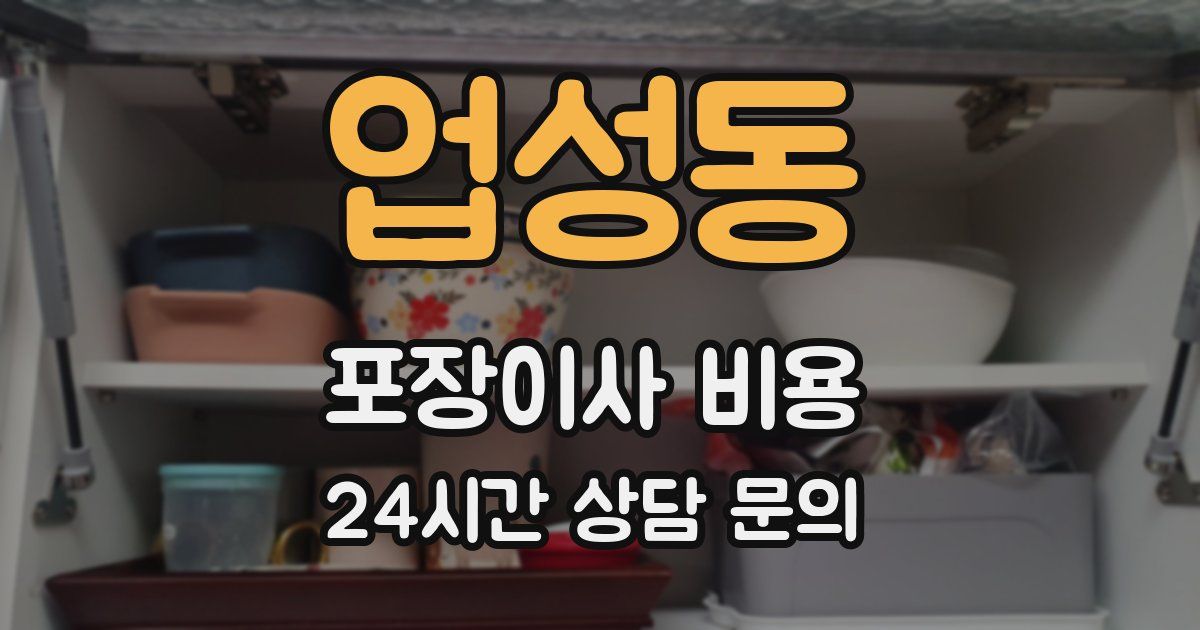 업성동 포장이사 비용