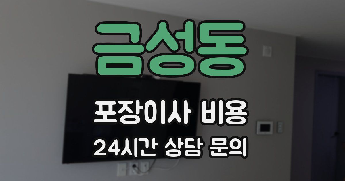 금성동 포장이사 비용