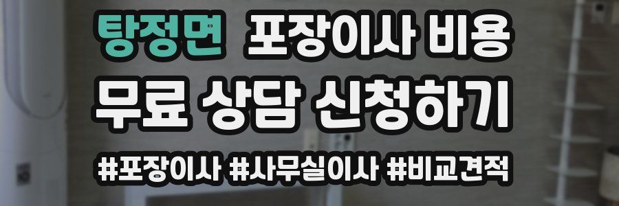 탕정면 포장이사 비용