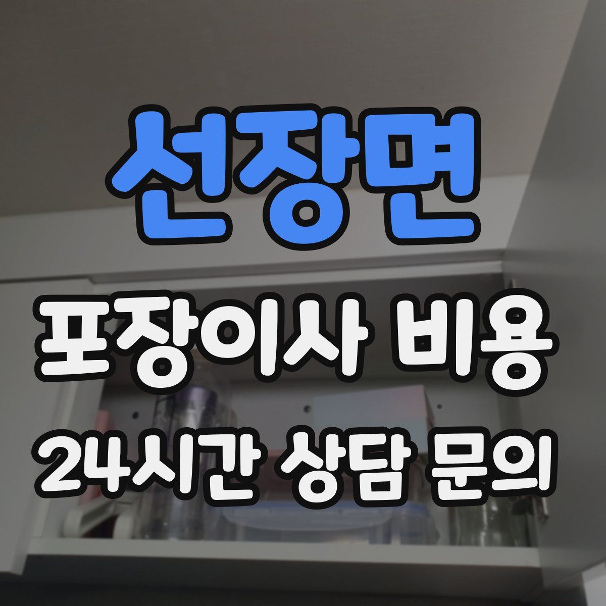 선장면 포장이사 비용